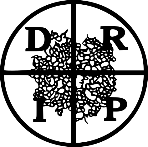 DRIP21 Conference Logo